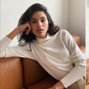 Aritzia Cyprie Turtleneck